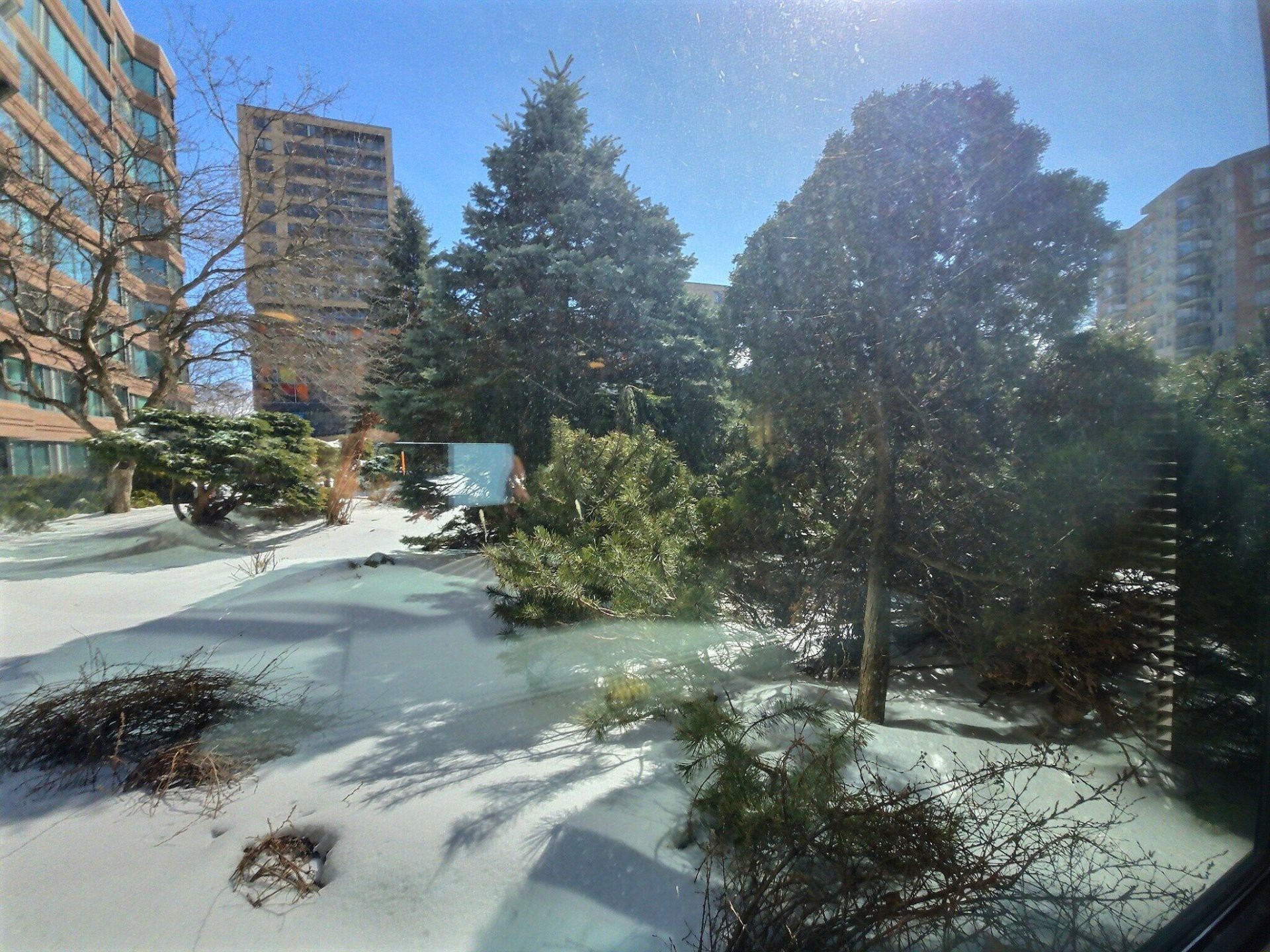View