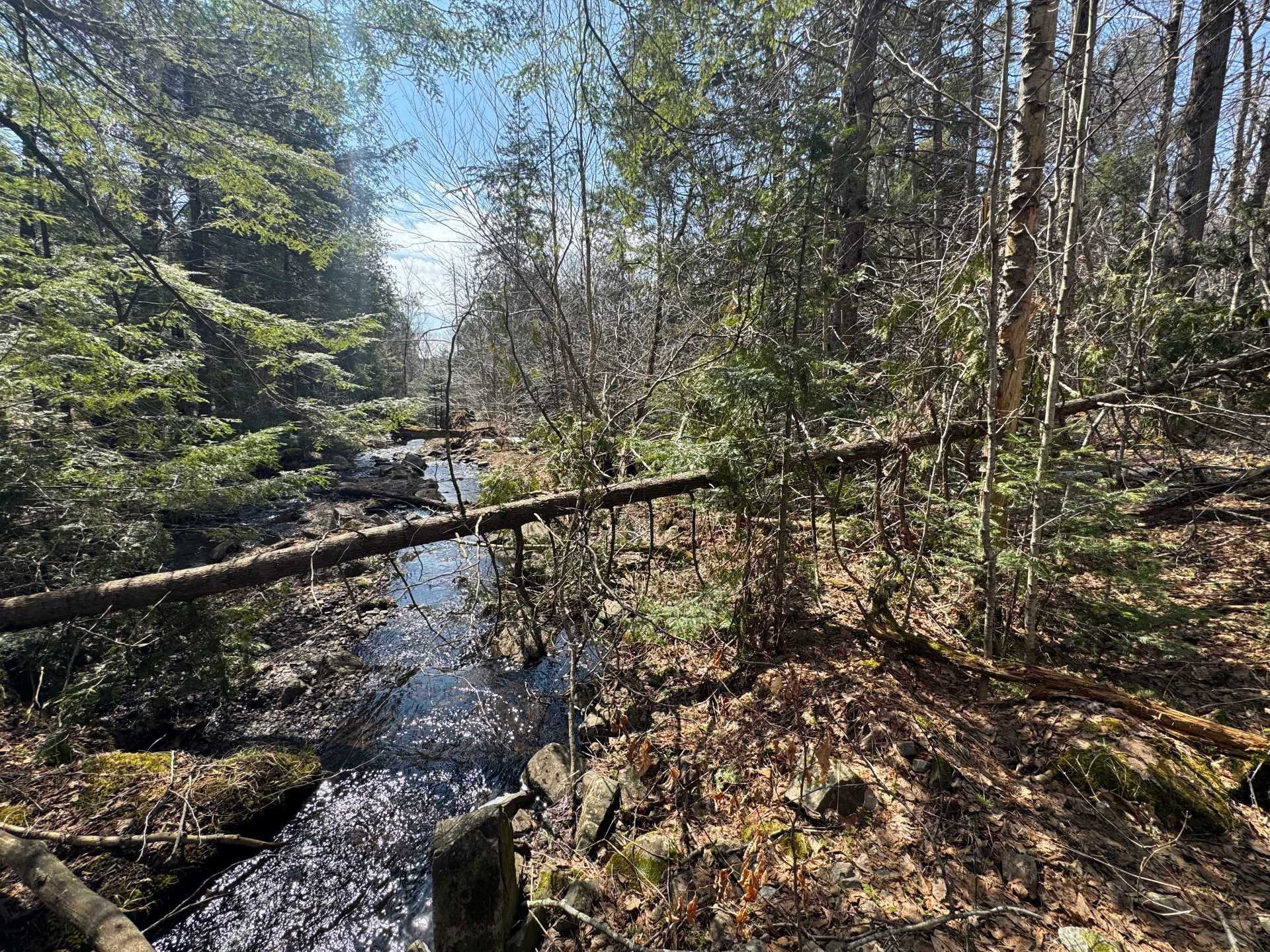 Lot for sale, Brownsburg-Chatham