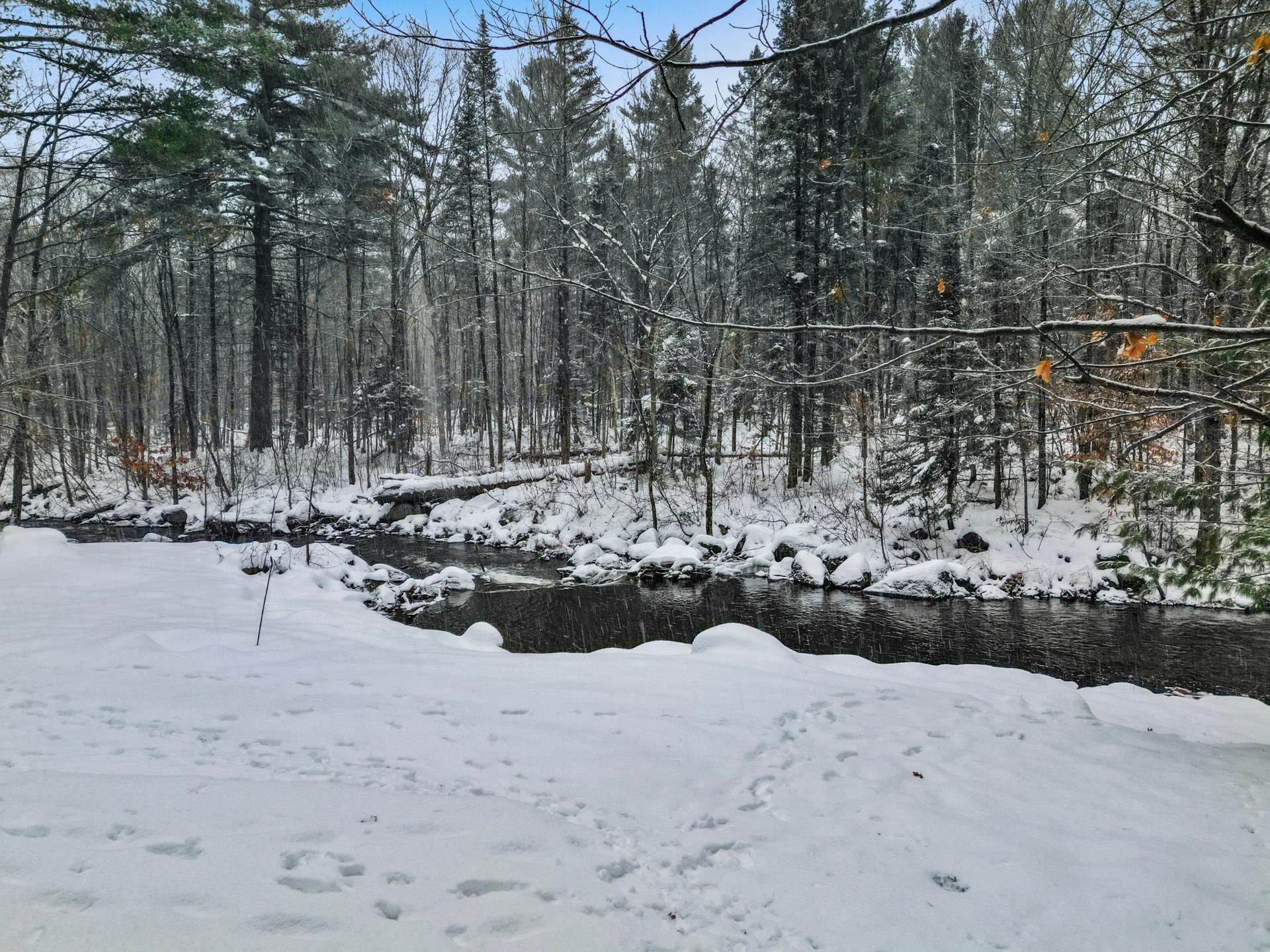 Bord de l'eau