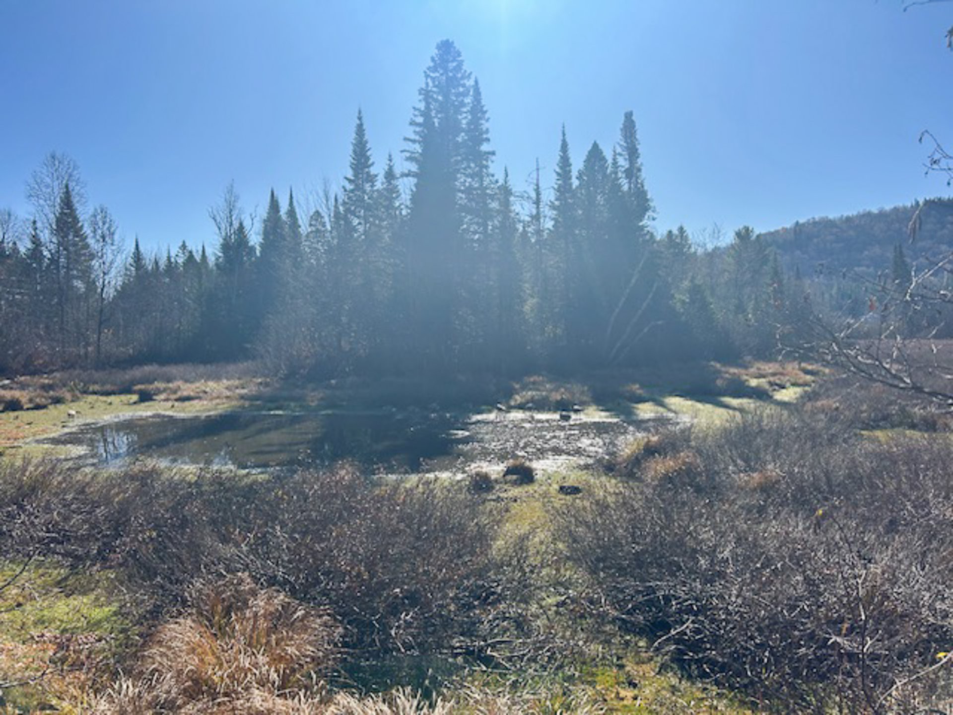 View