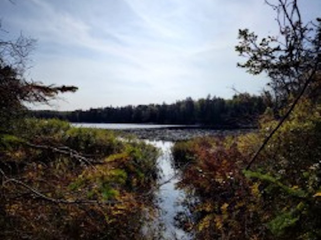 Bord de l'eau