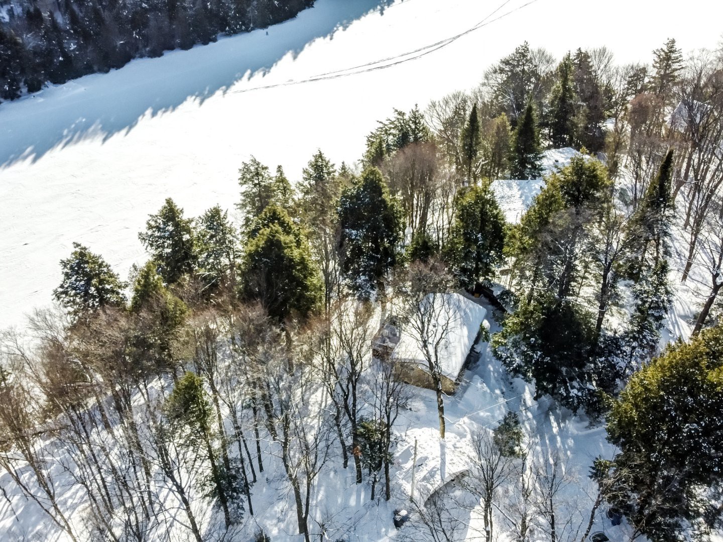 Aerial photo