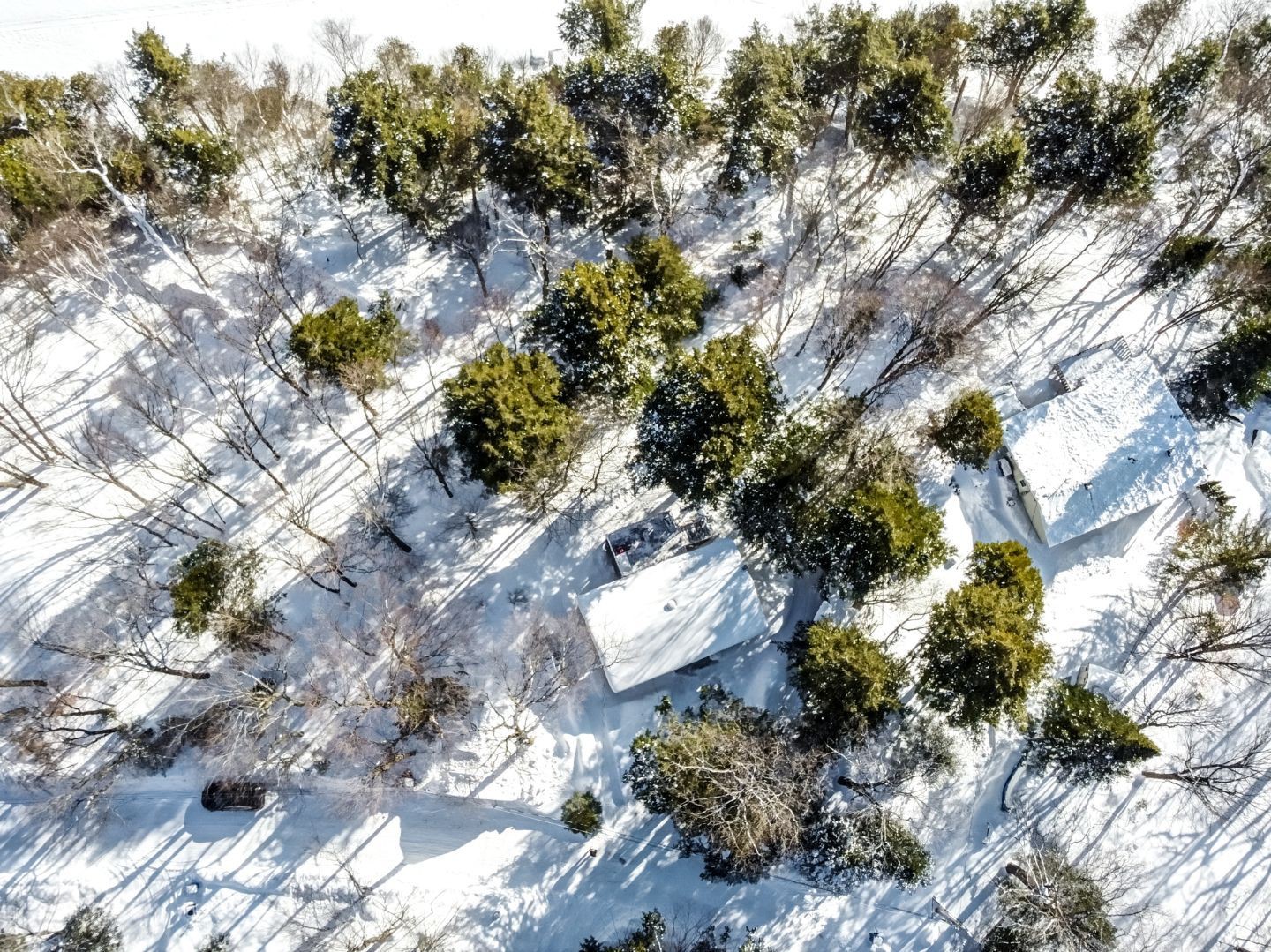 Aerial photo