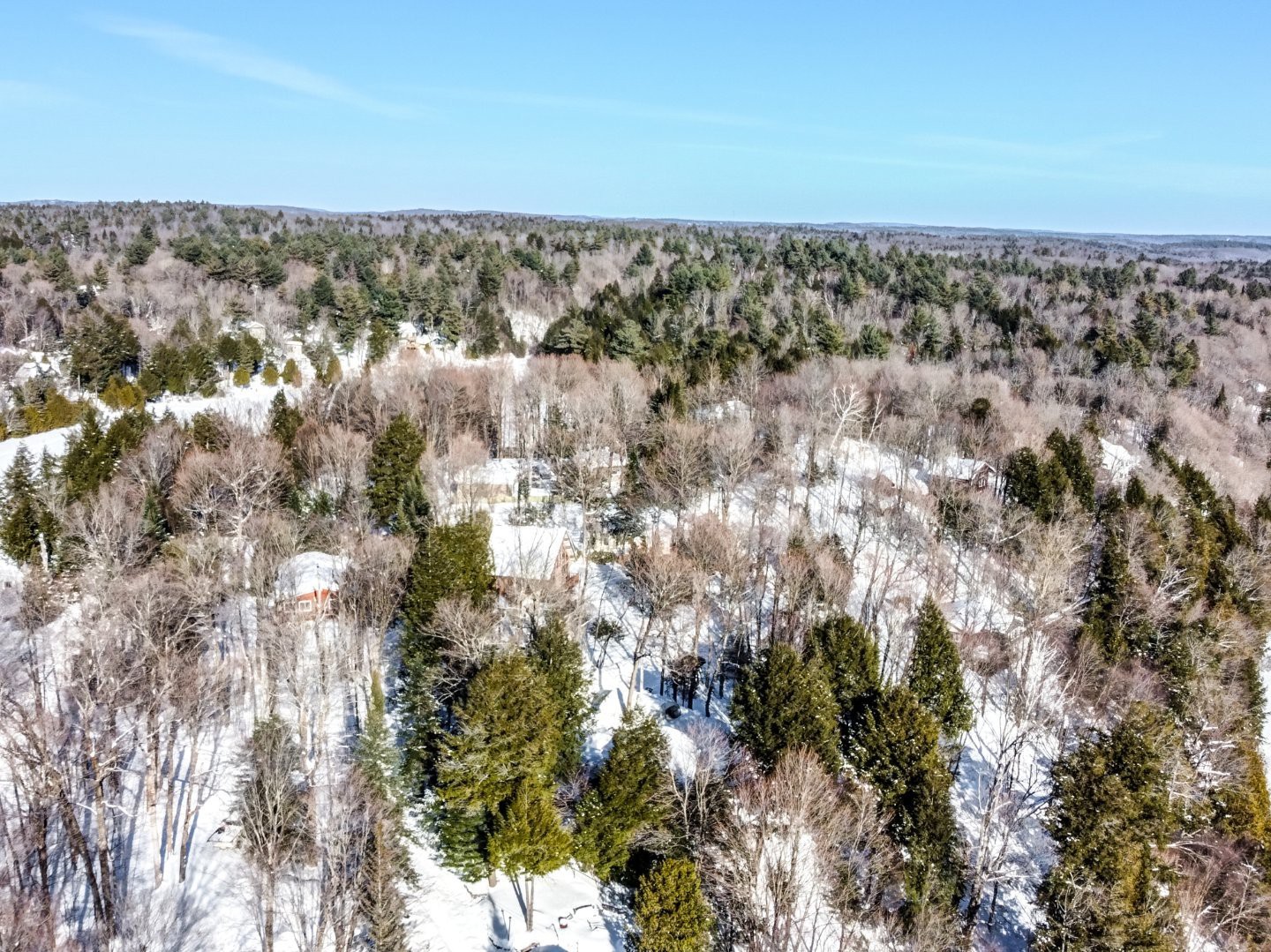 Aerial photo