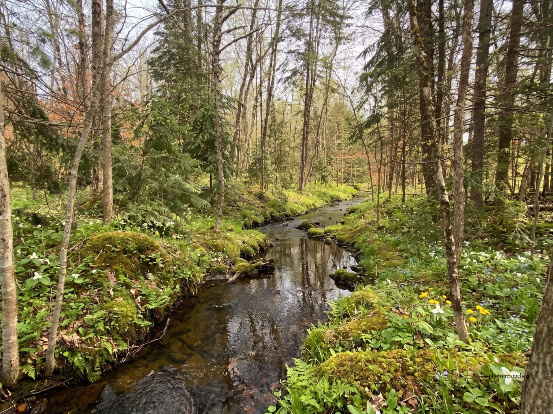 Terrain à vendre, Magog