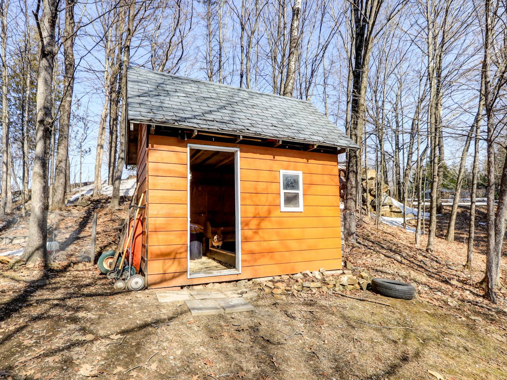 Shed