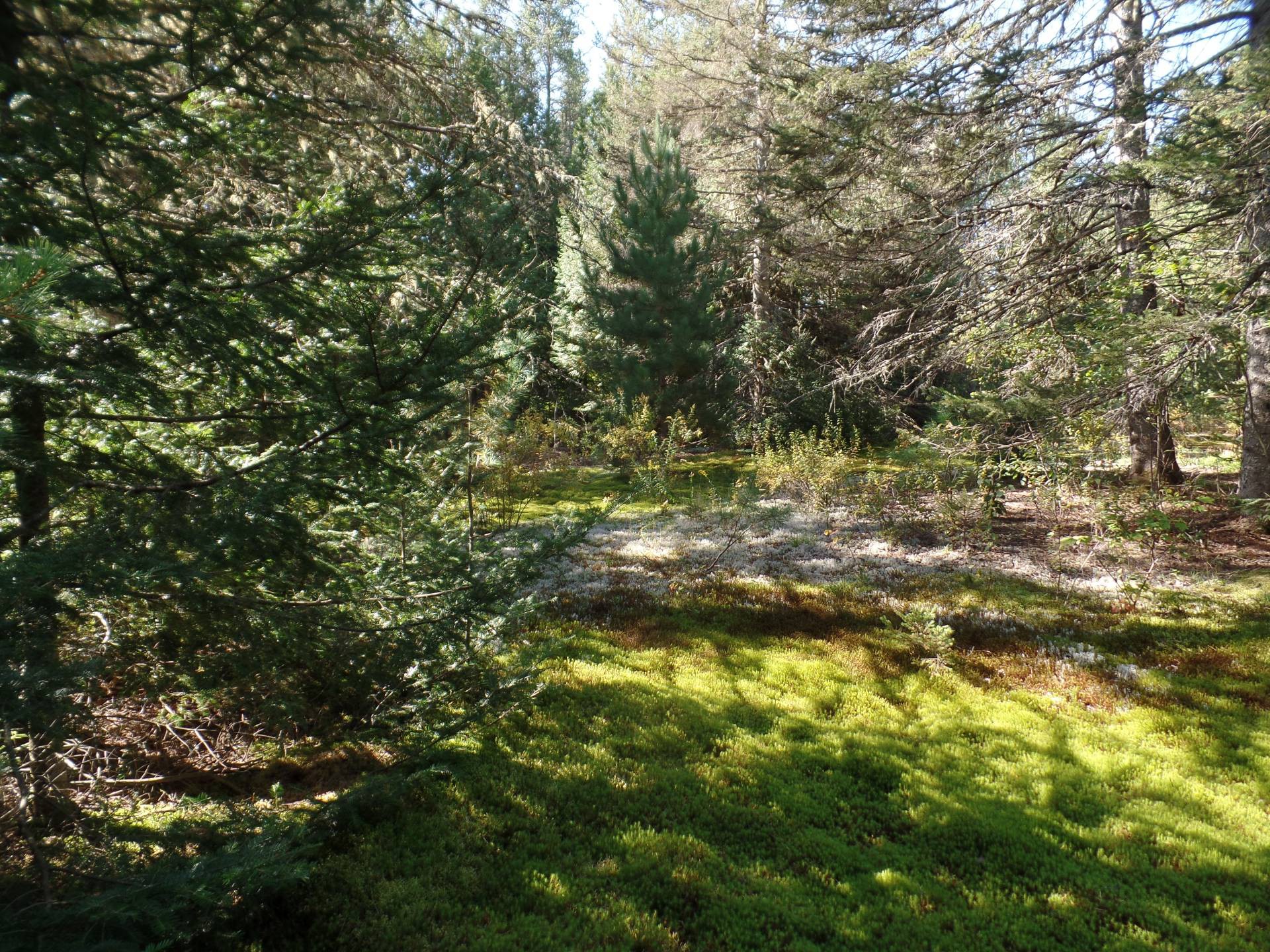 Terrain à vendre, Val-des-Bois