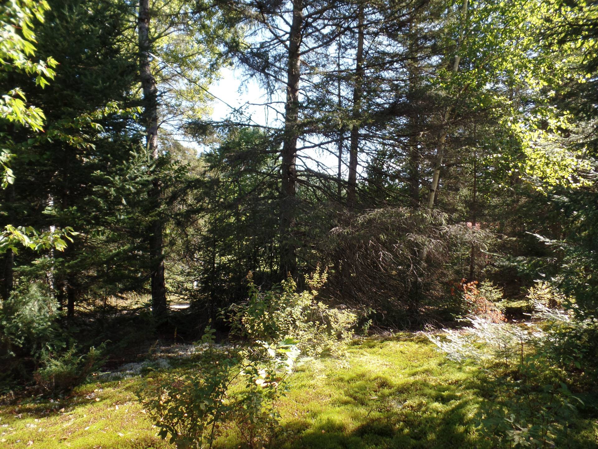 Terre/Terrain
