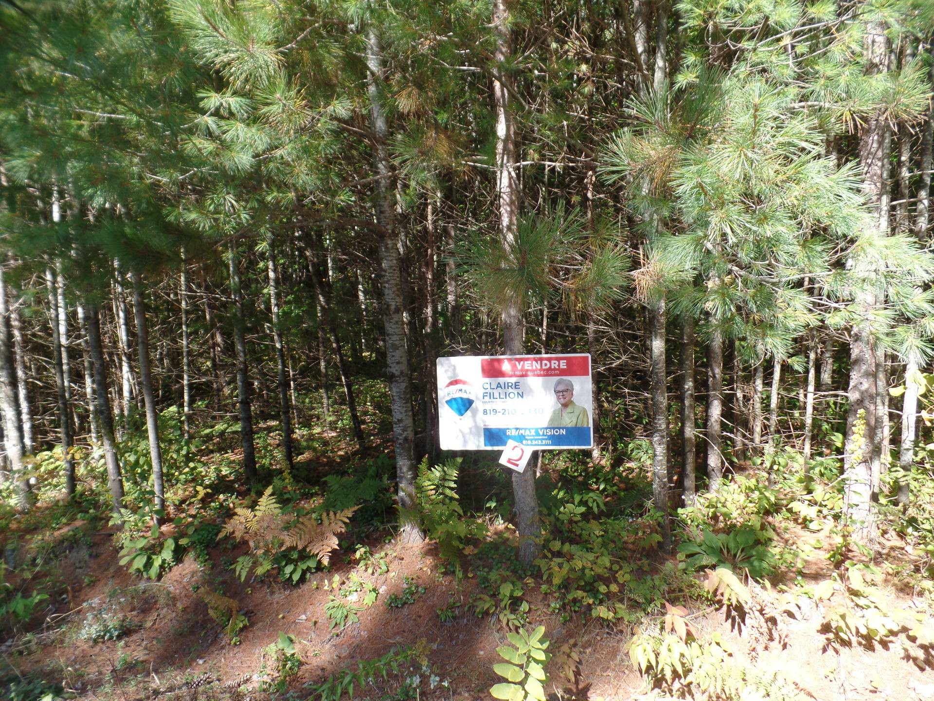 Terrain à vendre, Notre-Dame-du-Laus