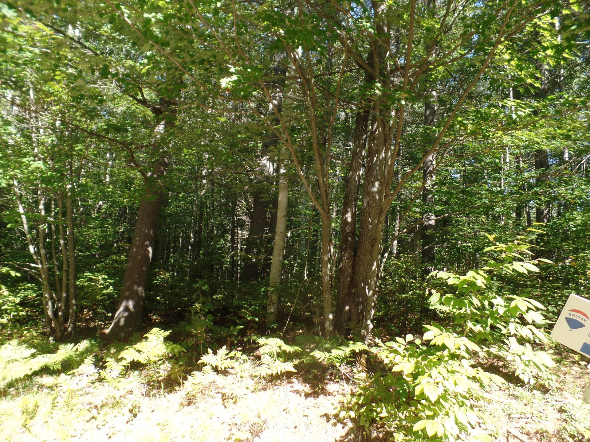 Terrain à vendre, Notre-Dame-du-Laus