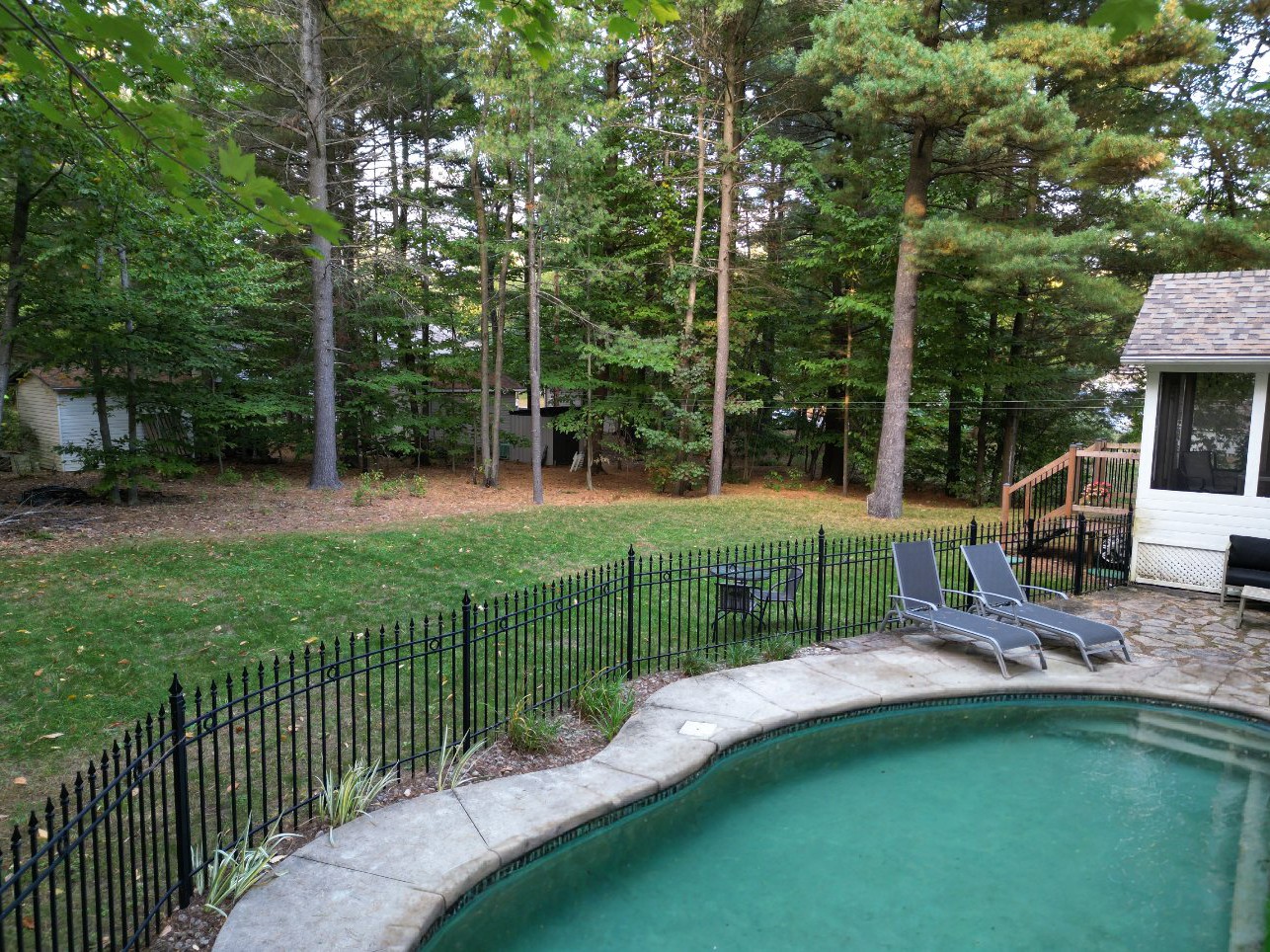 Backyard