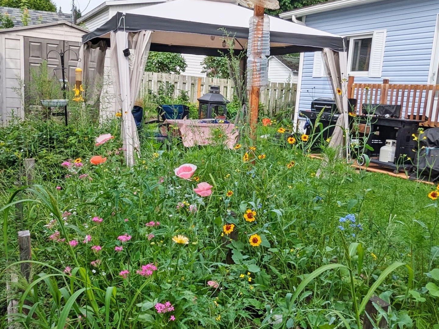 Jardin