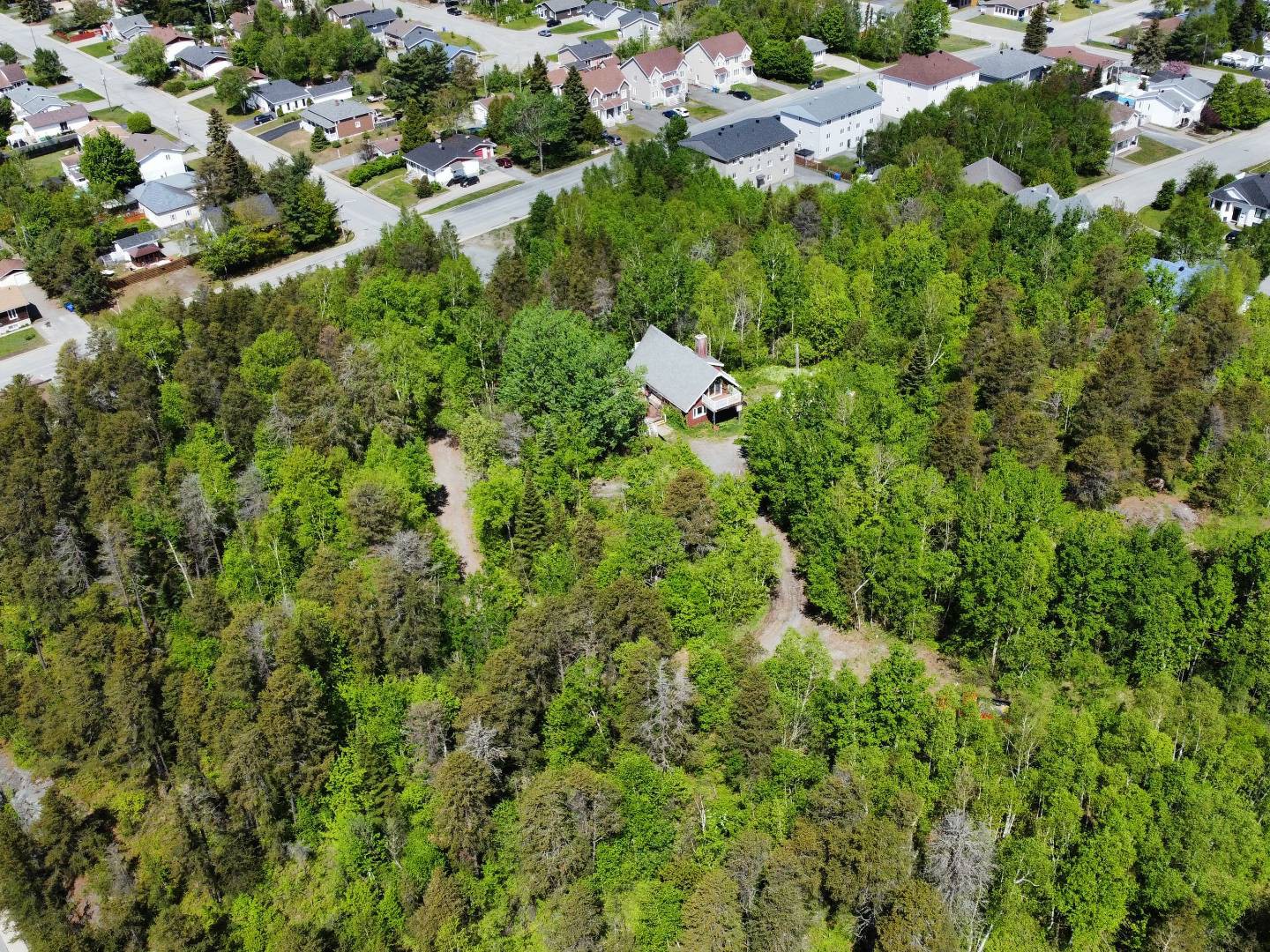 Terre/Terrain