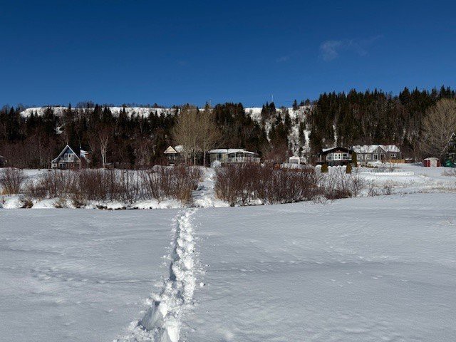 Terre/Terrain