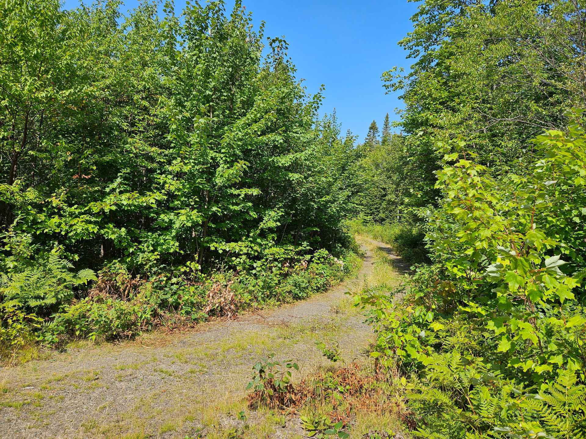 Terre à bois