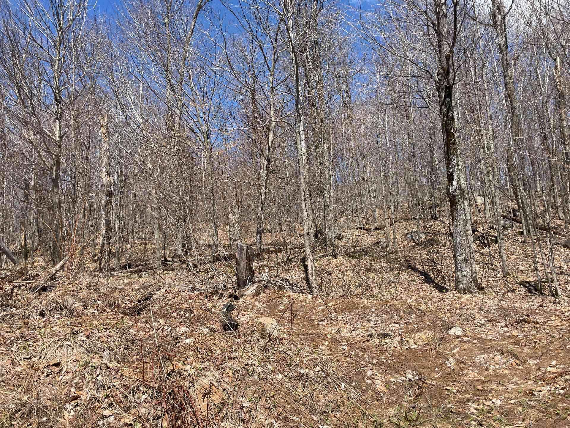 Terre/Terrain