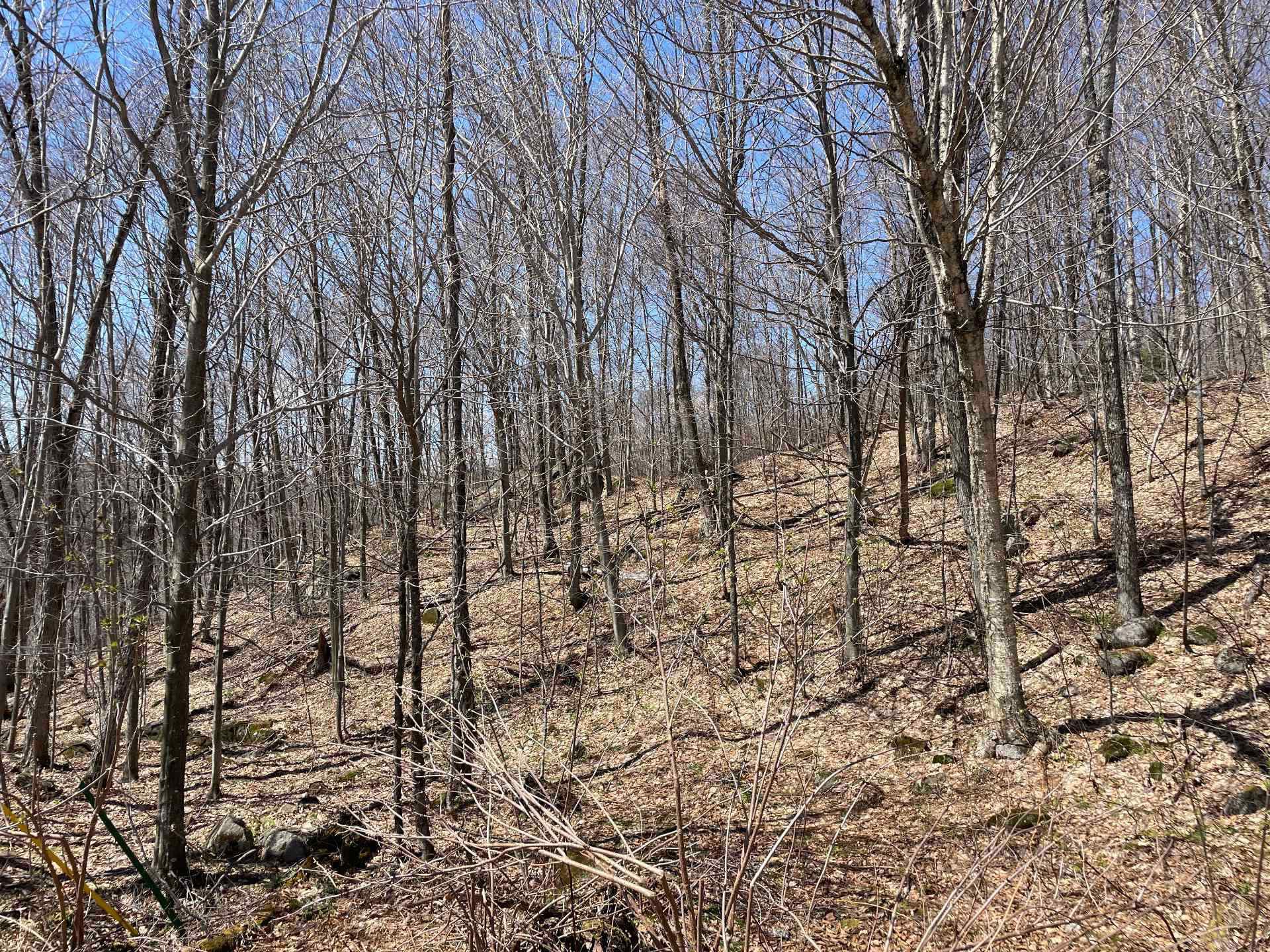Terre/Terrain