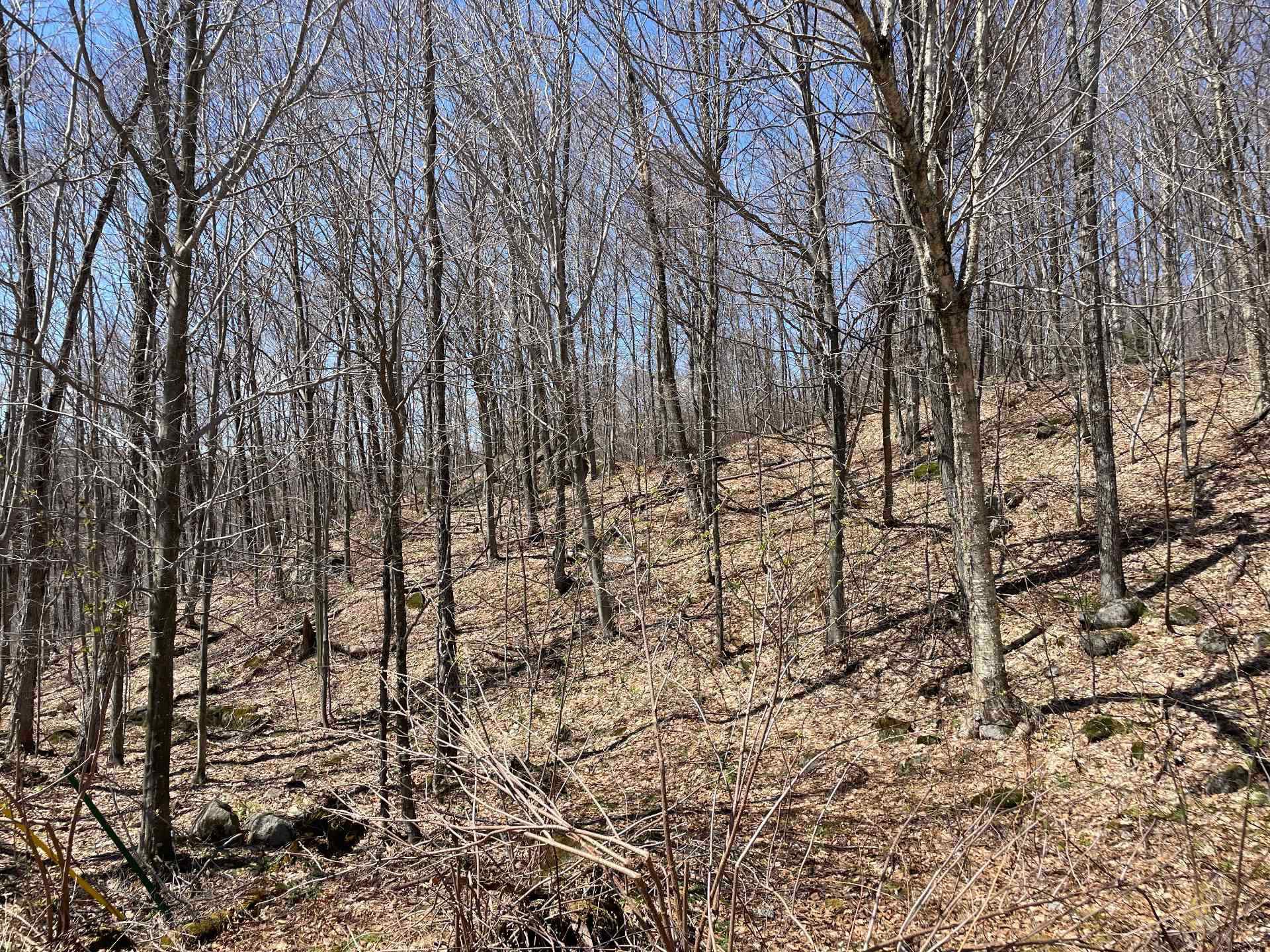 Terre/Terrain