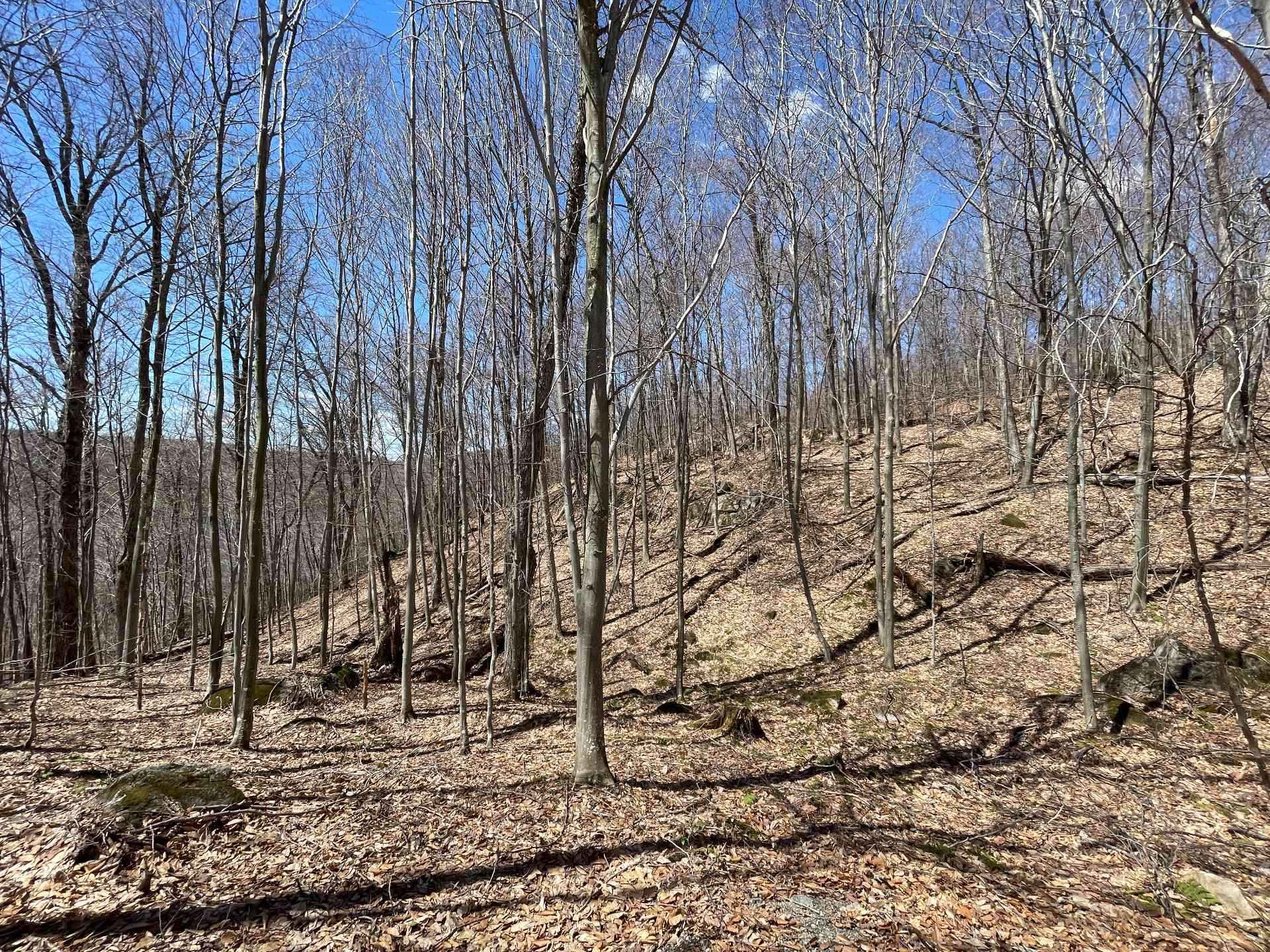 Terre/Terrain