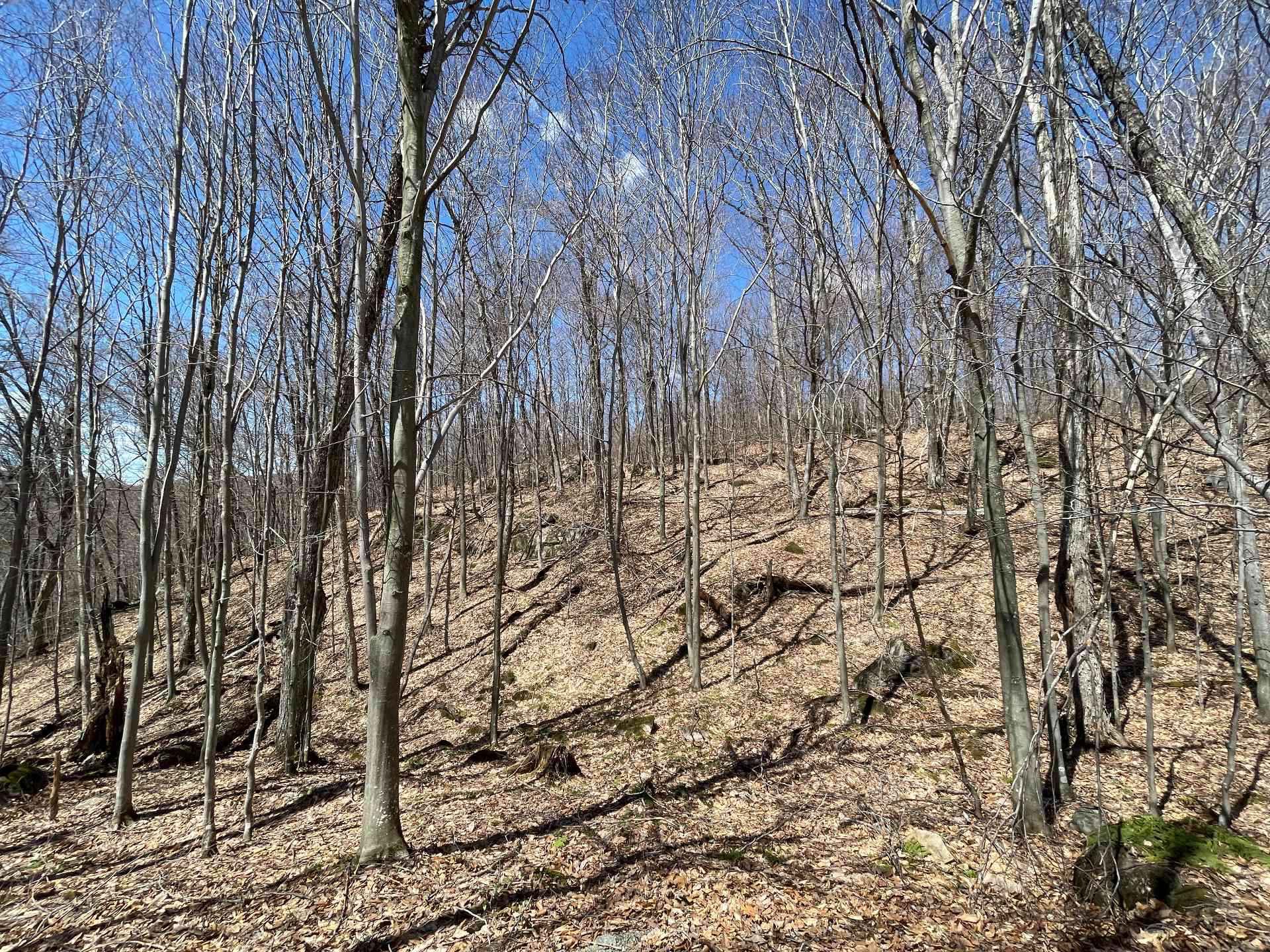 Terre/Terrain