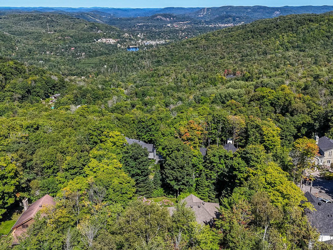 Overall View