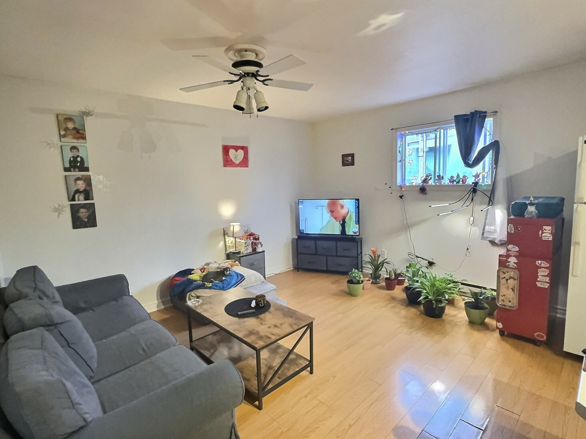 logement du haut(31/2)