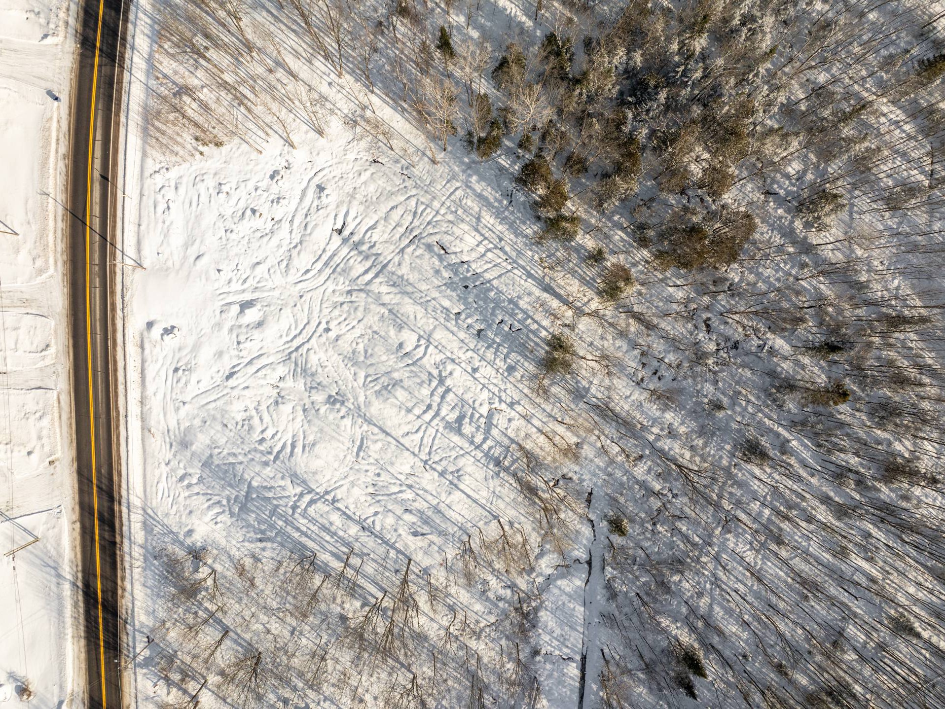 Terre/Terrain