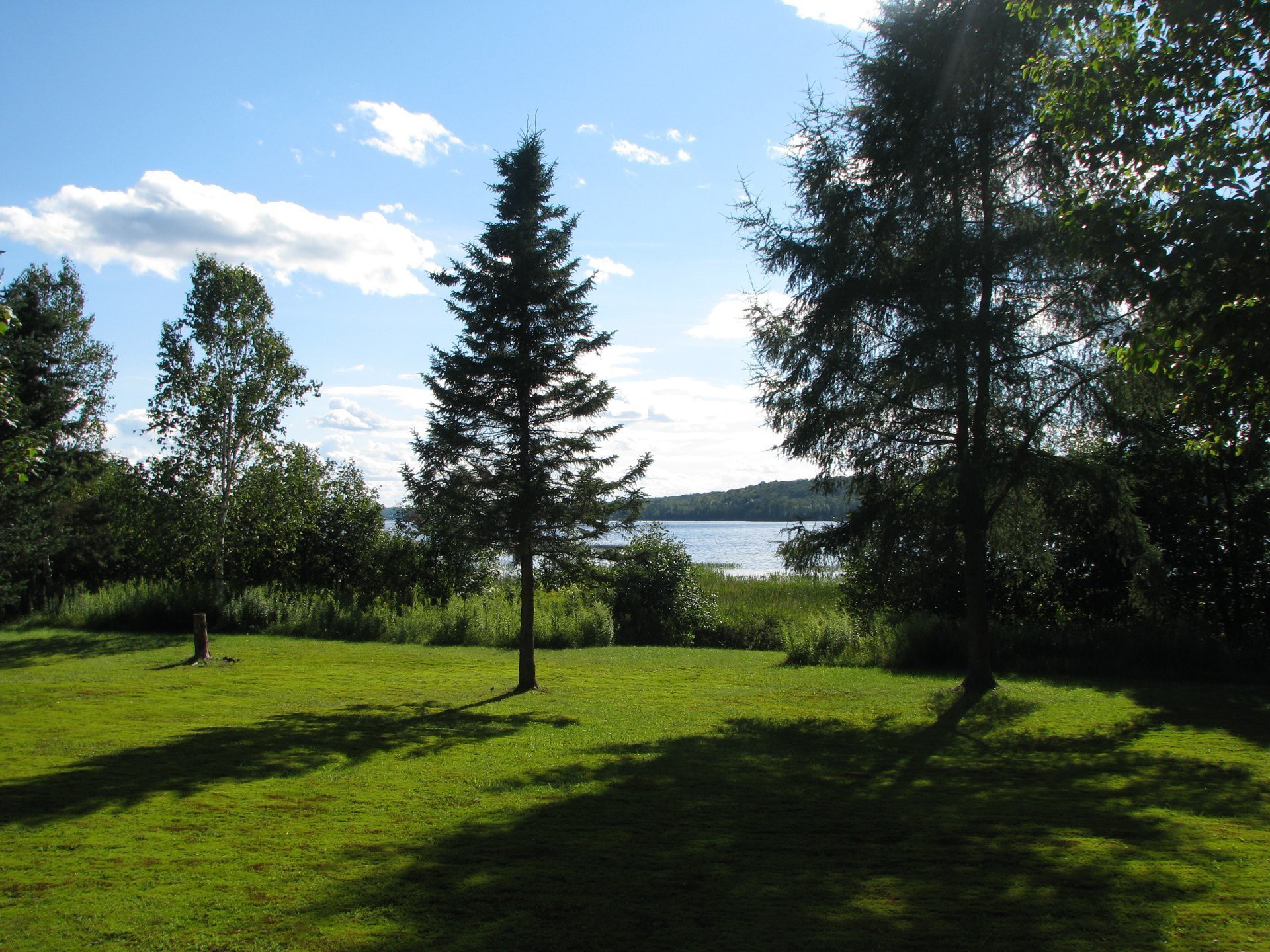 Photo d'été