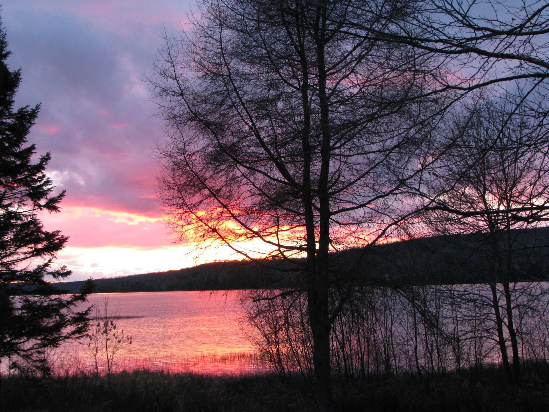 Photo d'été