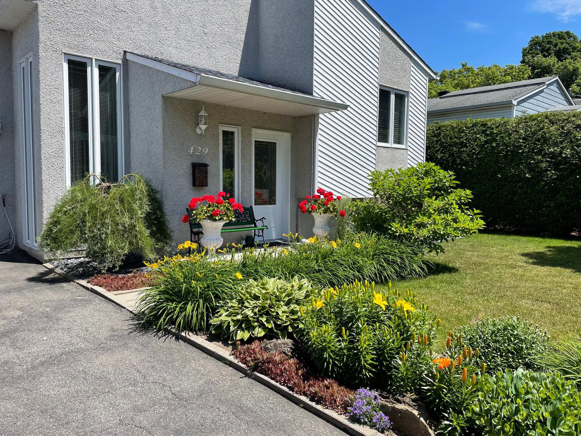 Photo avec fleurs en été