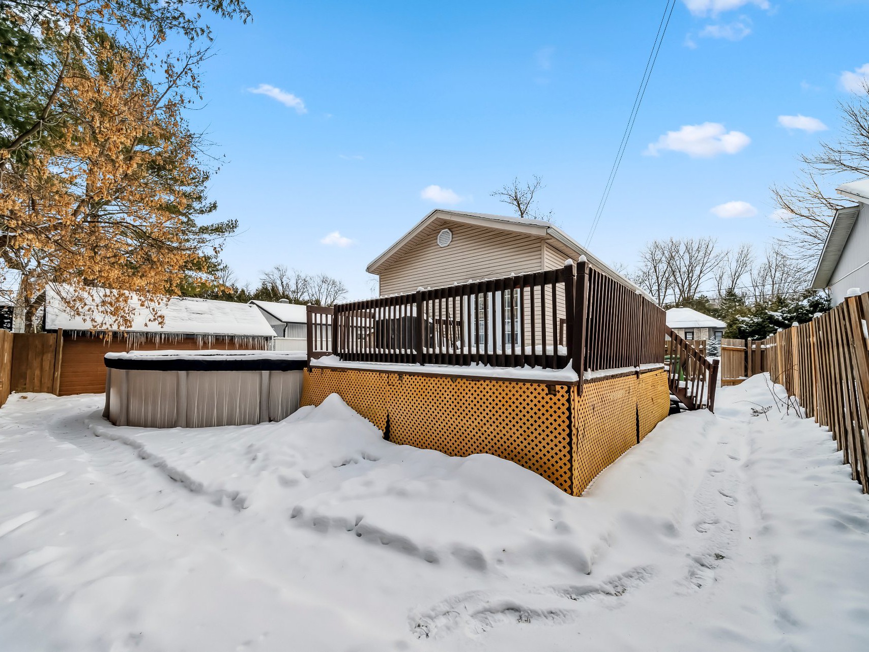 Backyard
