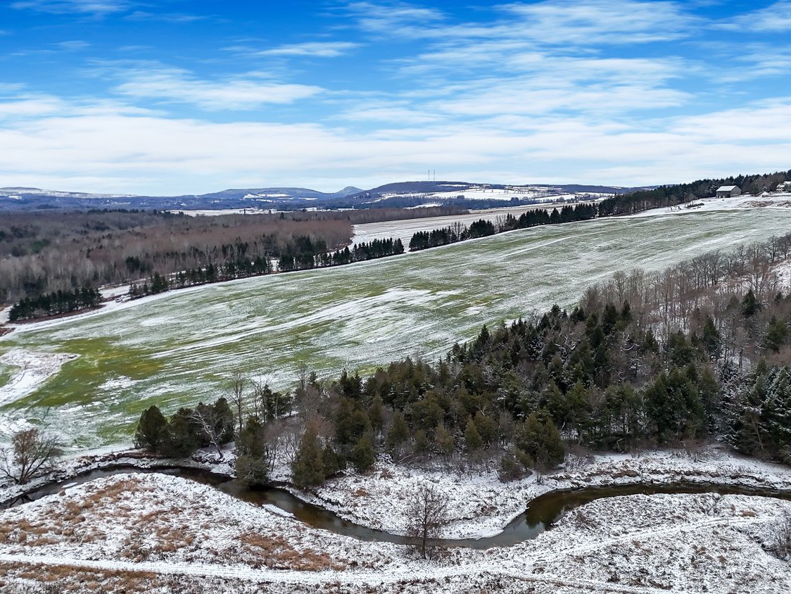 Land/Lot