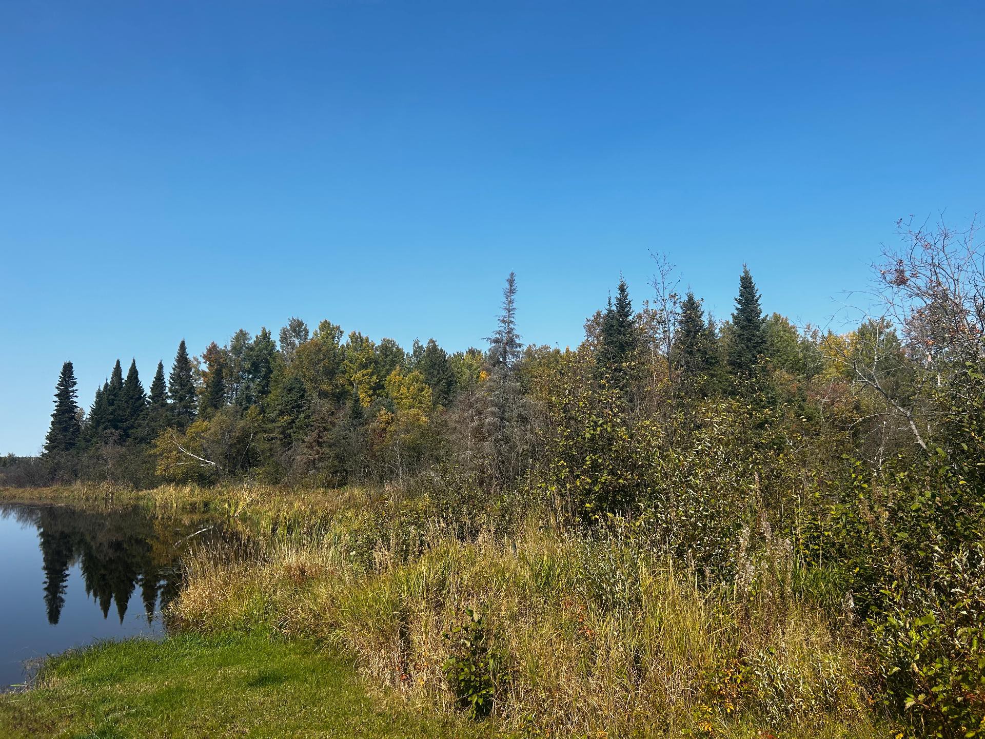 Bord de l'eau