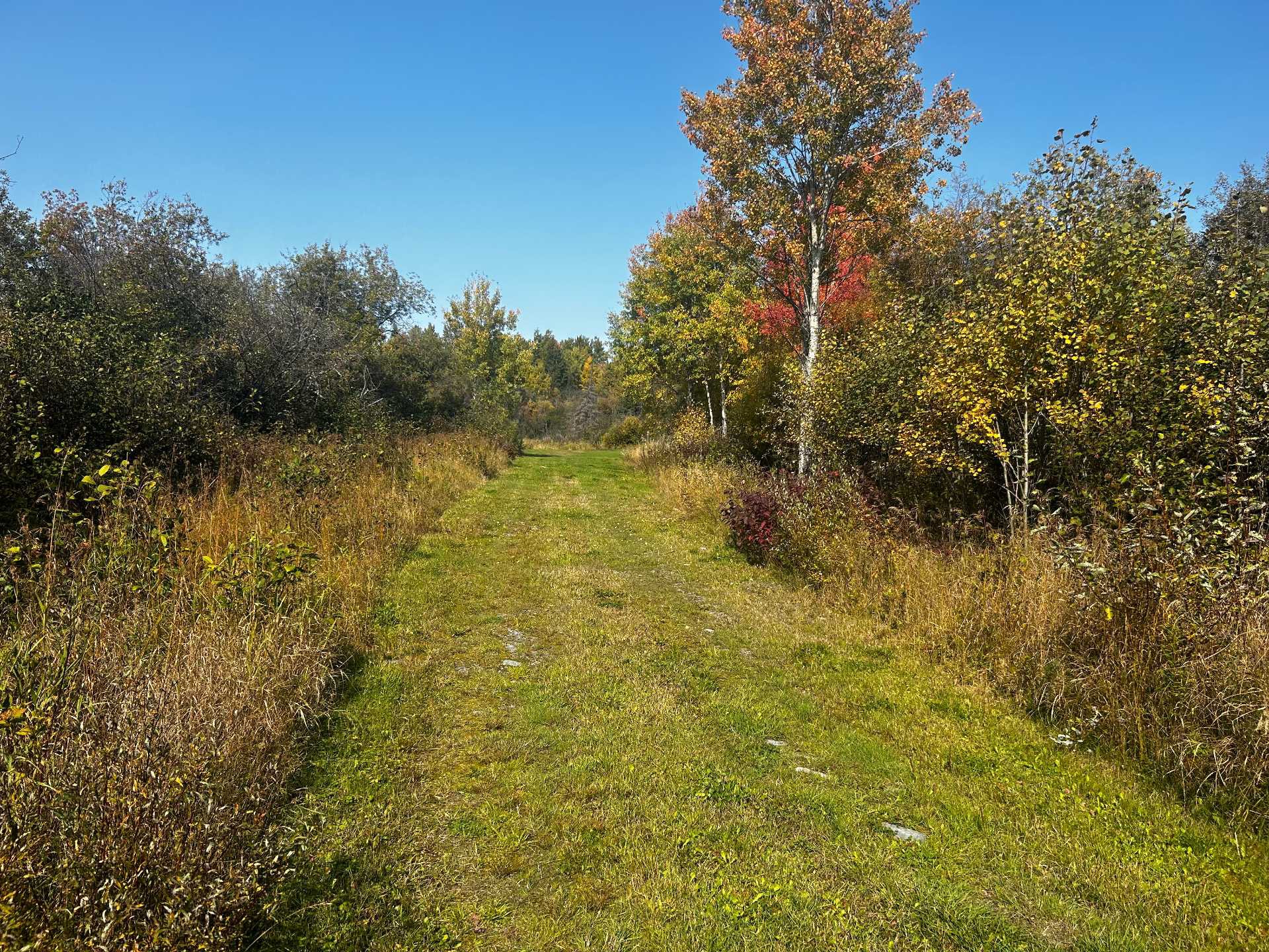Terre/Terrain
