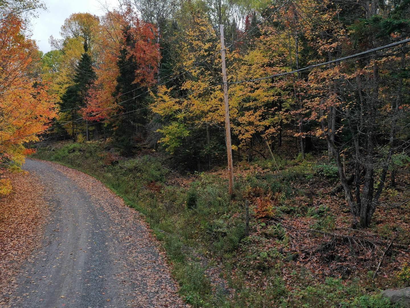 Terre/Terrain
