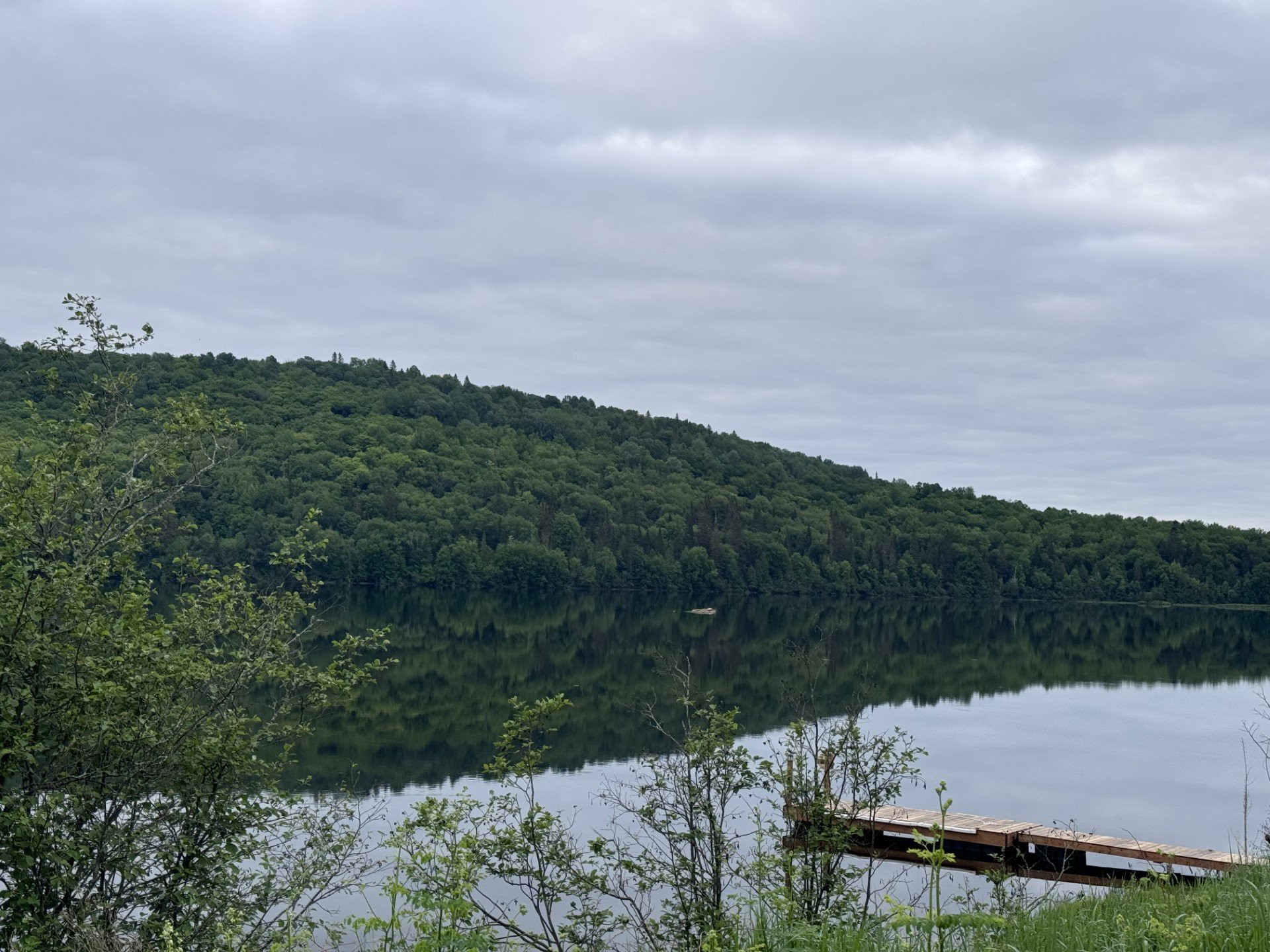 Vue sur l'eau