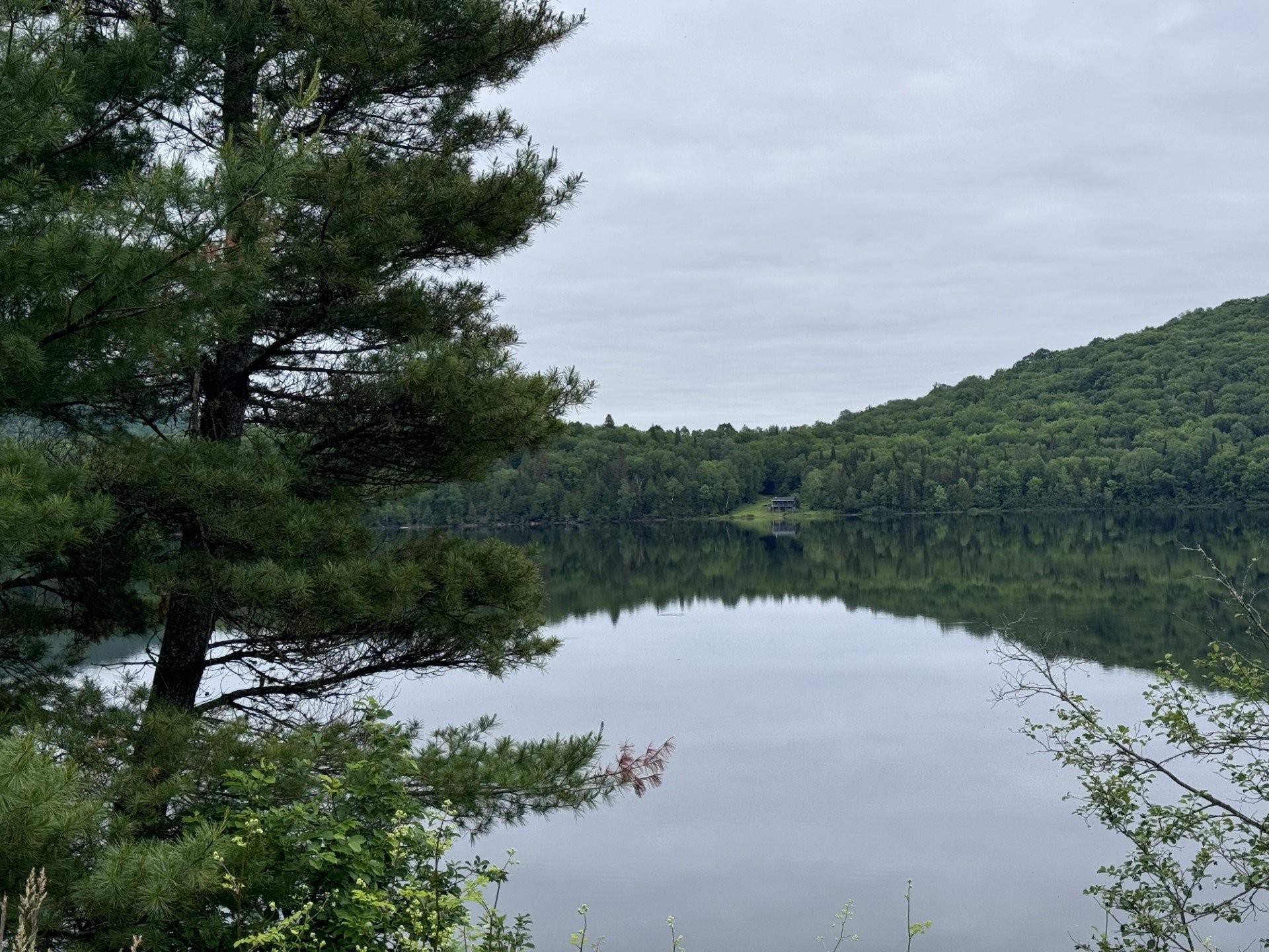 Vue sur l'eau