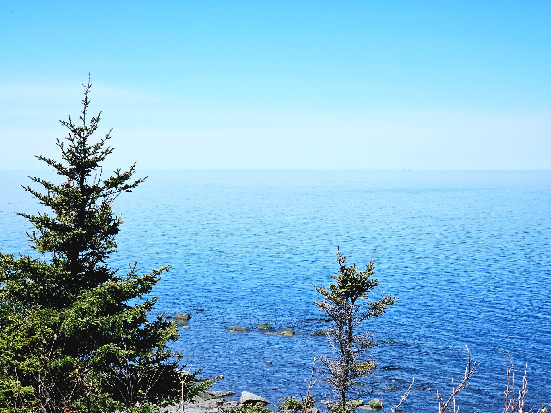 Vue sur l'eau