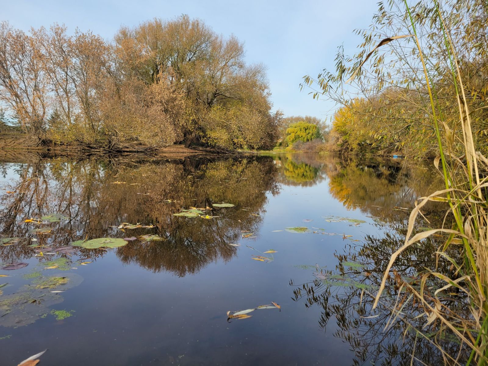 Bord de l'eau