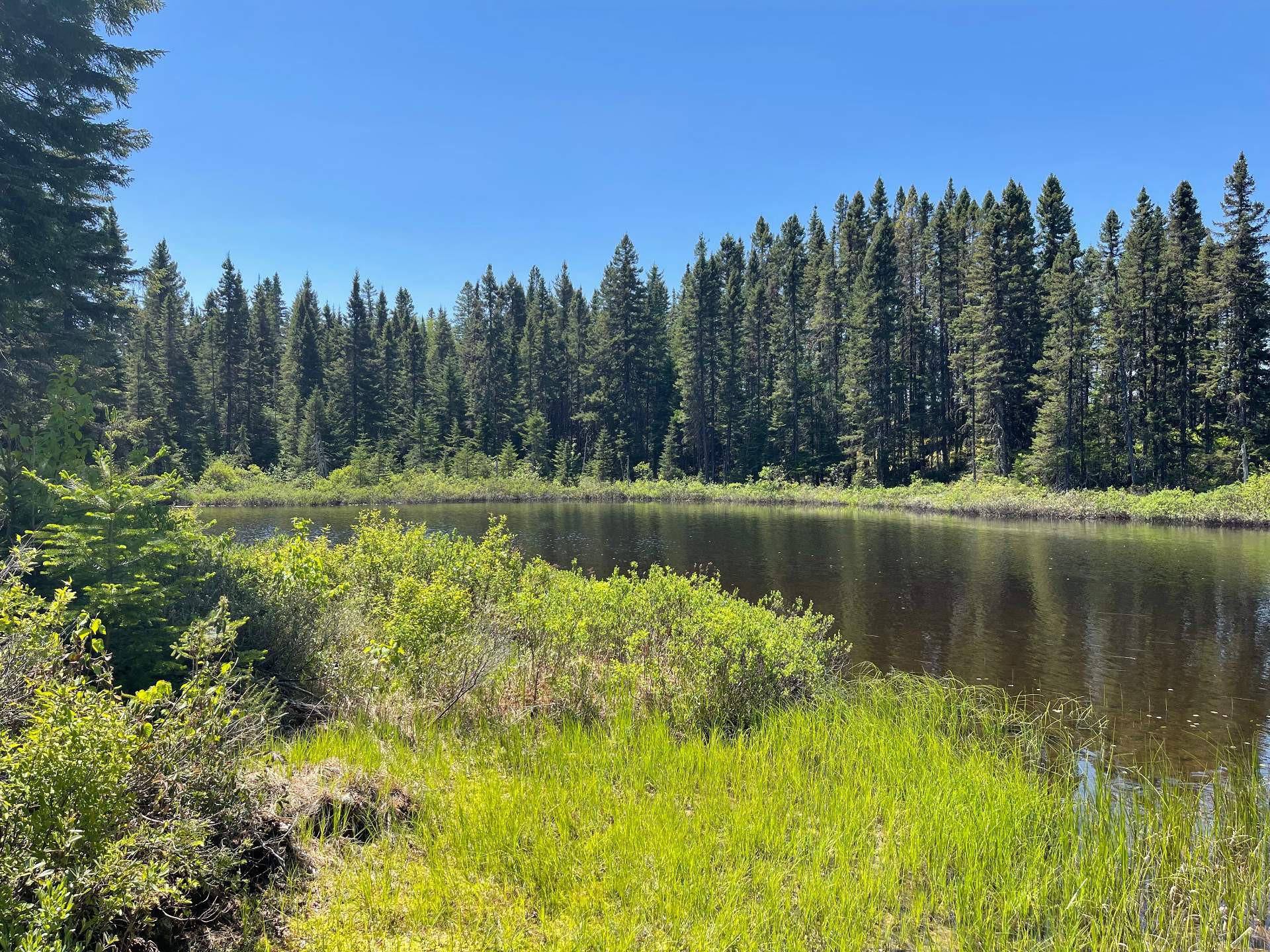 Water view