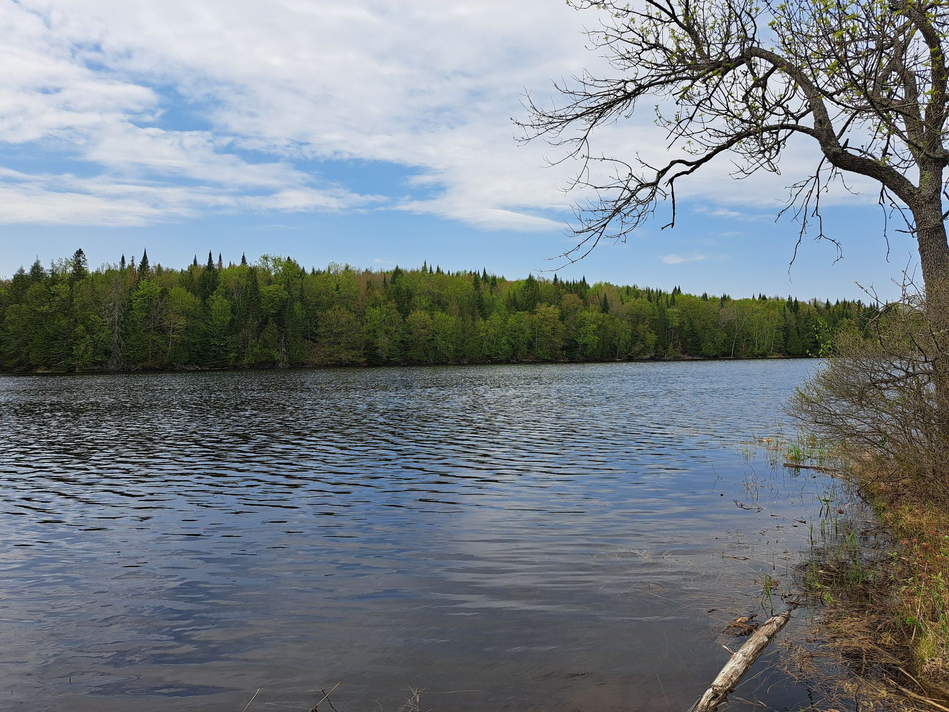 Vue sur l'eau