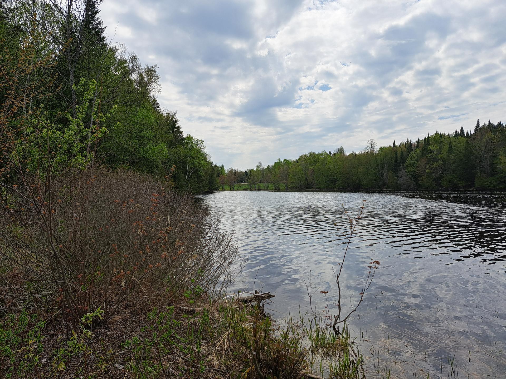 Vue sur l'eau