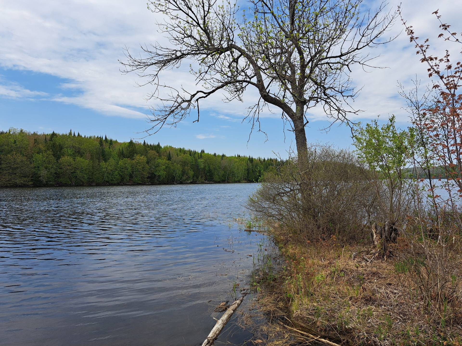 Vue sur l'eau