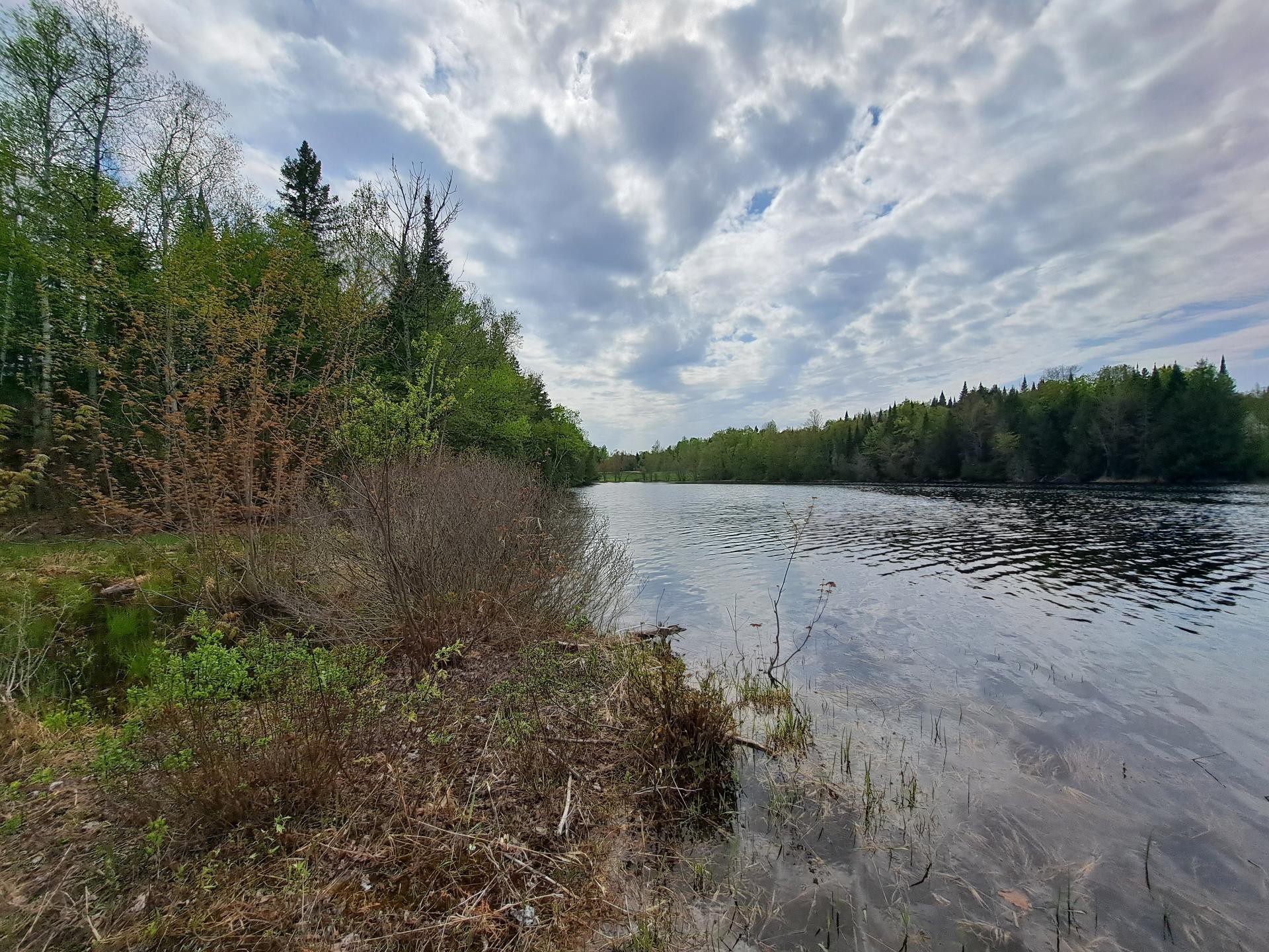 Vue sur l'eau