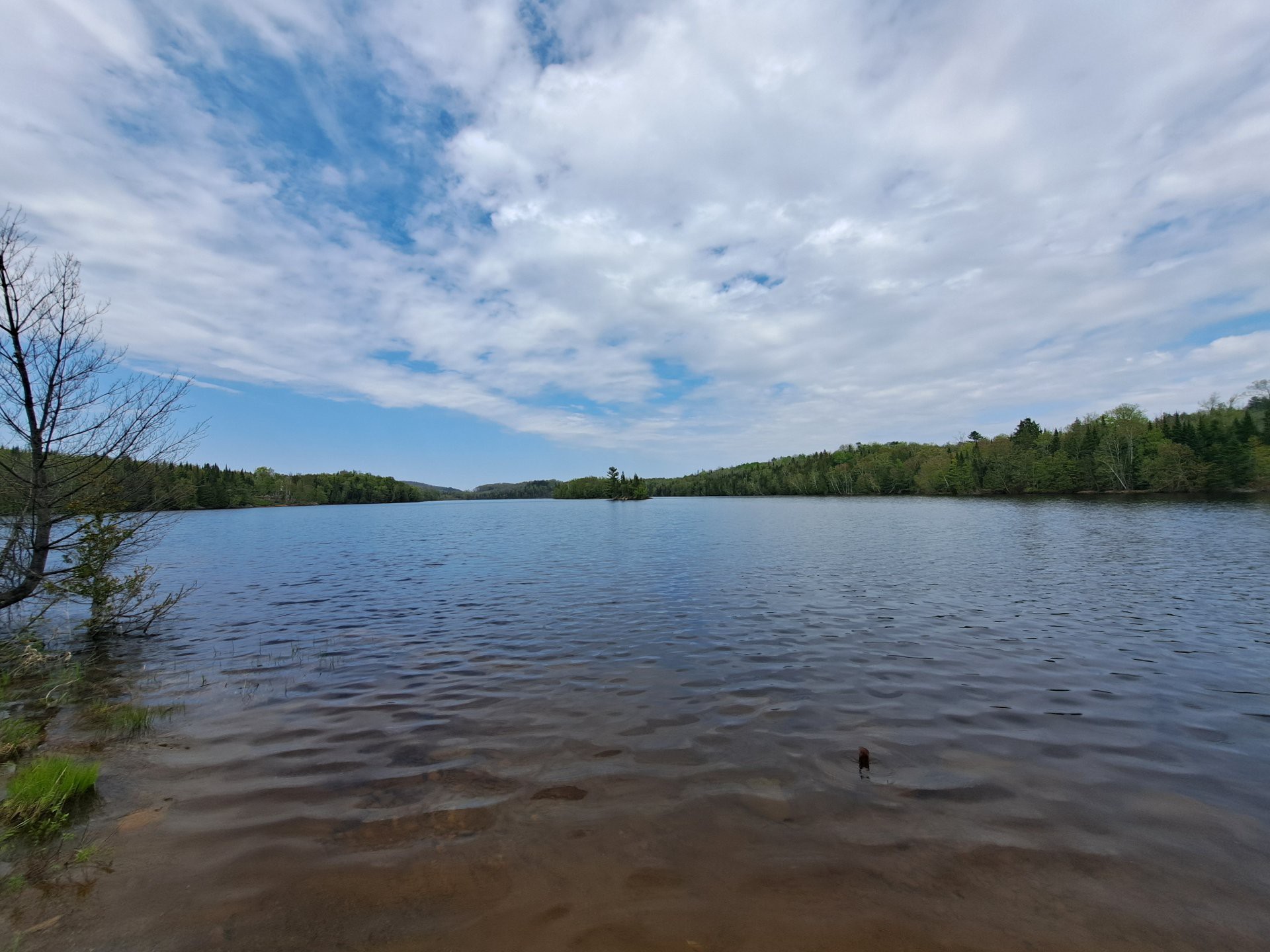 Vue sur l'eau