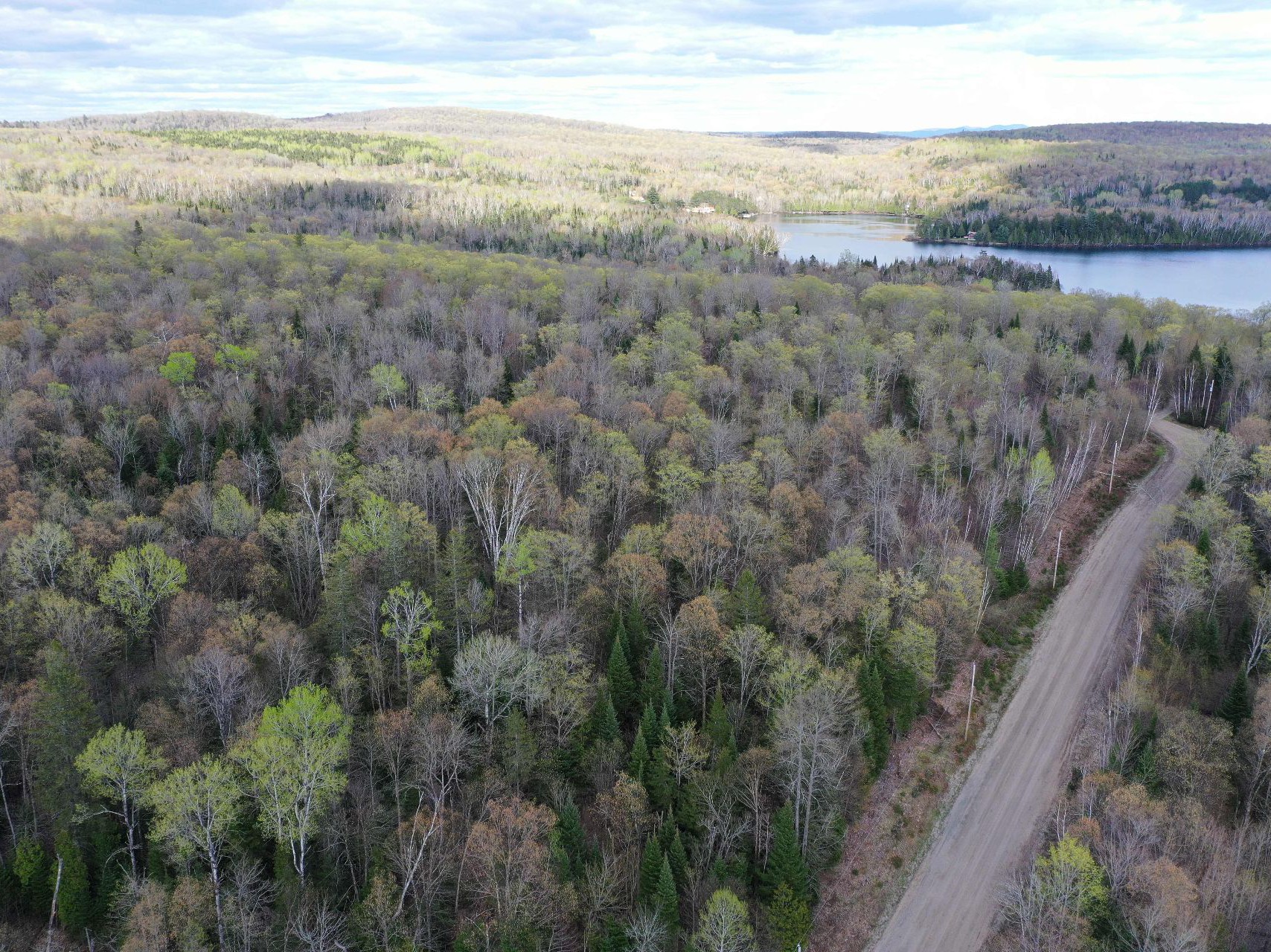 Aerial photo