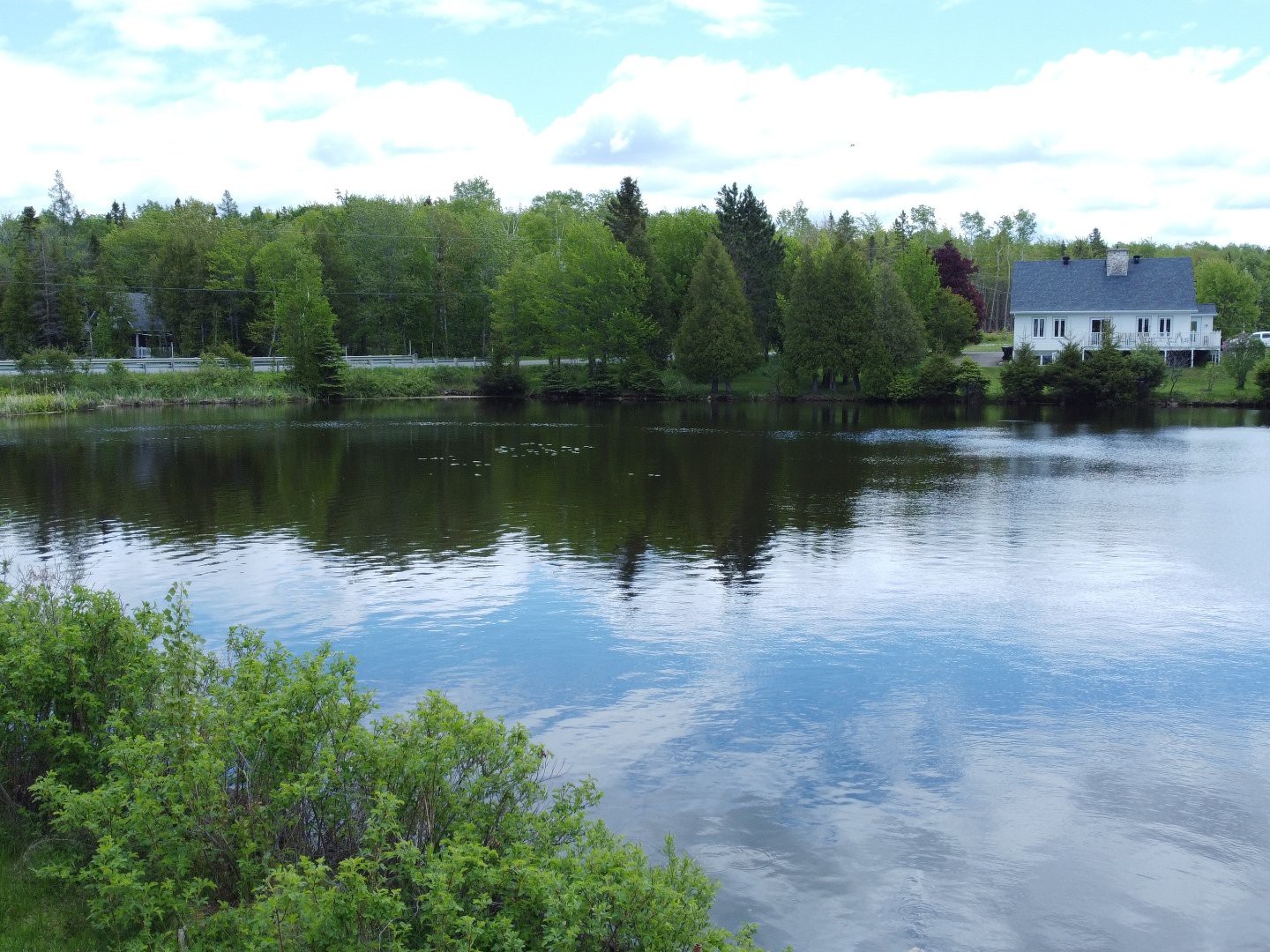 Vue sur l'eau