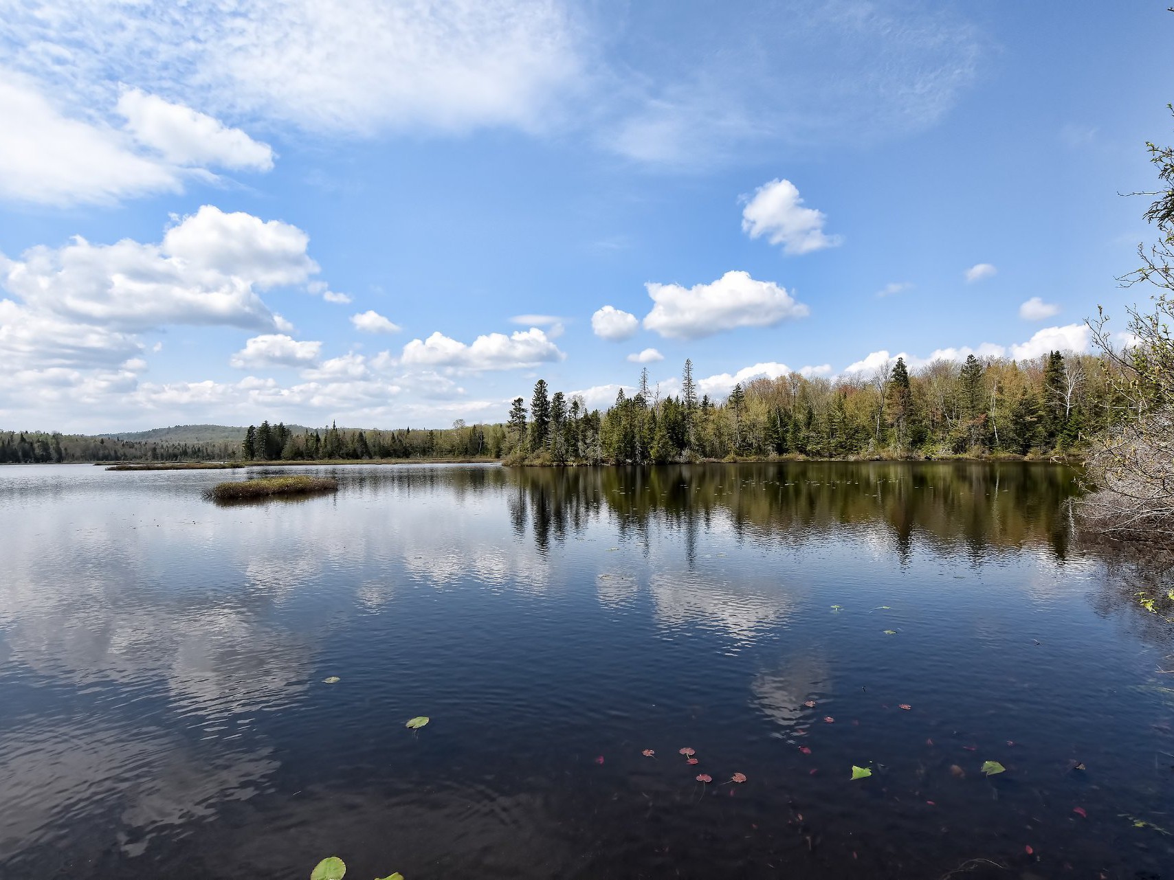 Bord de l'eau