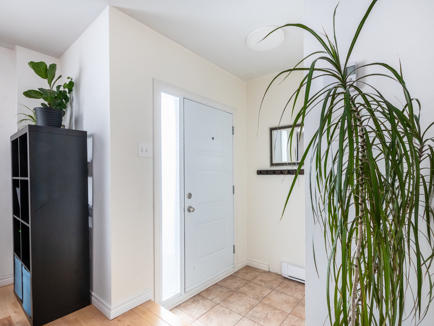 Hall d'entrée/Vestibule