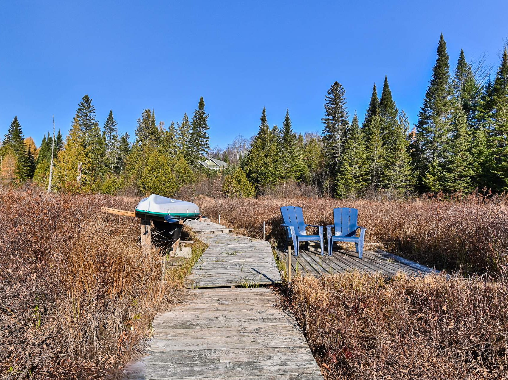 Bord de l'eau